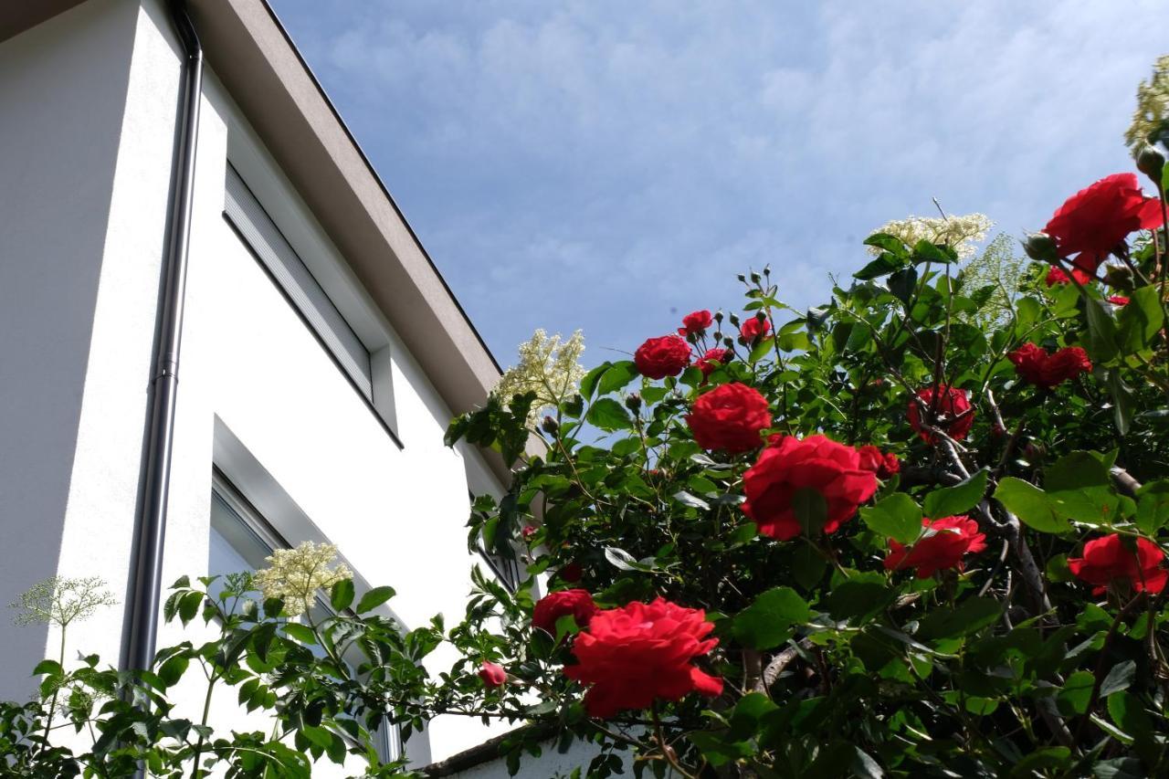Apartment Le Rose Di Marianne - Sud Vahrn Ngoại thất bức ảnh